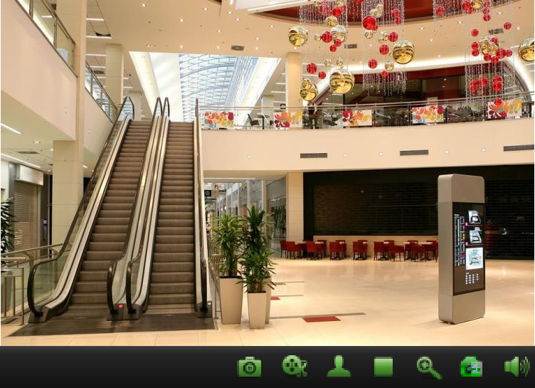 EverFocus CMS Setup and User Guide 73 image71