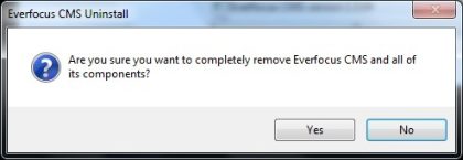 EverFocus CMS Setup and User Guide 9 image8 420w145h